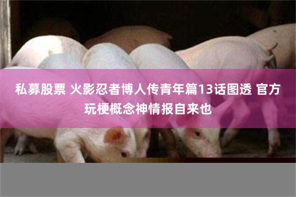 私募股票 火影忍者博人传青年篇13话图透 官方玩梗概念神情报自来也