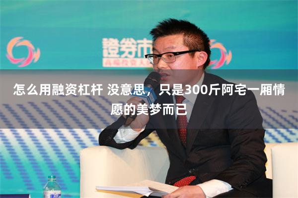怎么用融资杠杆 没意思，只是300斤阿宅一厢情愿的美梦而已