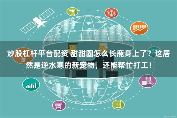 炒股杠杆平台配资 甜甜圈怎么长鹿身上了？这居然是逆水寒的新宠物，还能帮忙打工！