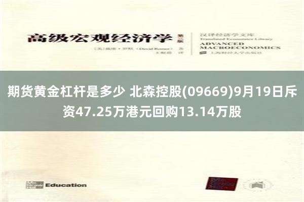 期货黄金杠杆是多少 北森控股(09669)9月19日斥资47.25万港元回购13.14万股
