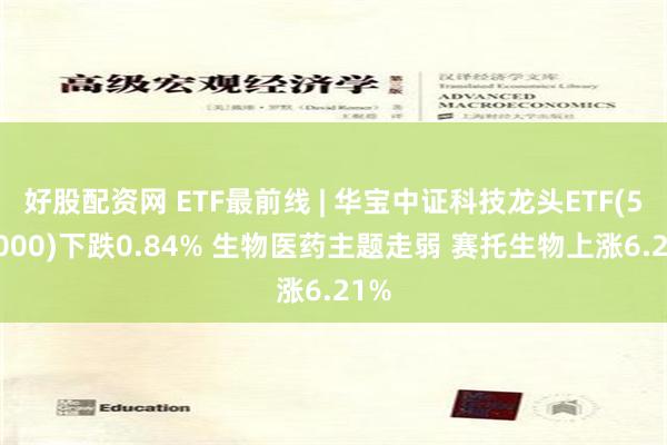 好股配资网 ETF最前线 | 华宝中证科技龙头ETF(515000)下跌0.84% 生物医药主题走弱 赛托生物上涨6.21%