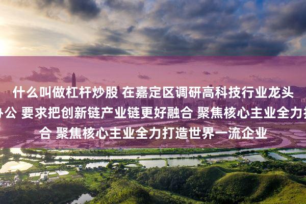 什么叫做杠杆炒股 在嘉定区调研高科技行业龙头企业并开展现场办公 要求把创新链产业链更好融合 聚焦核心主业全力打造世界一流企业