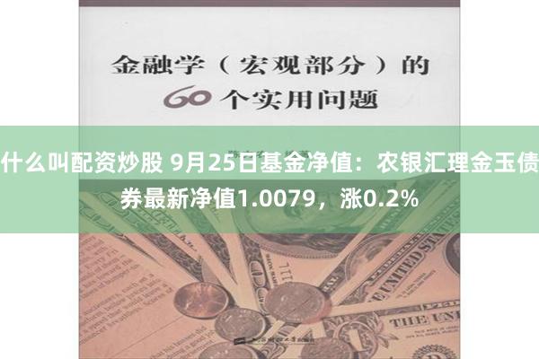 什么叫配资炒股 9月25日基金净值：农银汇理金玉债券最新净值1.0079，涨0.2%