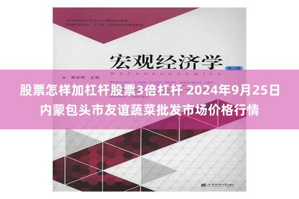 股票怎样加杠杆股票3倍杠杆 2024年9月25日内蒙包头市友谊蔬菜批发市场价格行情