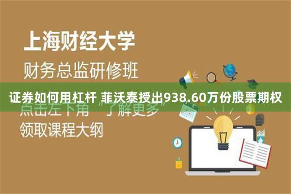证券如何用杠杆 菲沃泰授出938.60万份股票期权