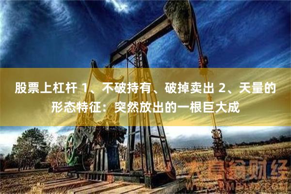 股票上杠杆 1、不破持有、破掉卖出 2、天量的形态特征：突然放出的一根巨大成