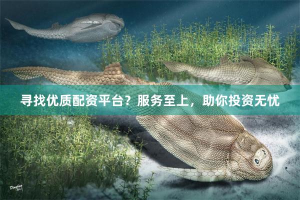 寻找优质配资平台？服务至上，助你投资无忧