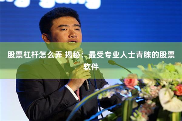 股票杠杆怎么弄 揭秘：最受专业人士青睐的股票软件