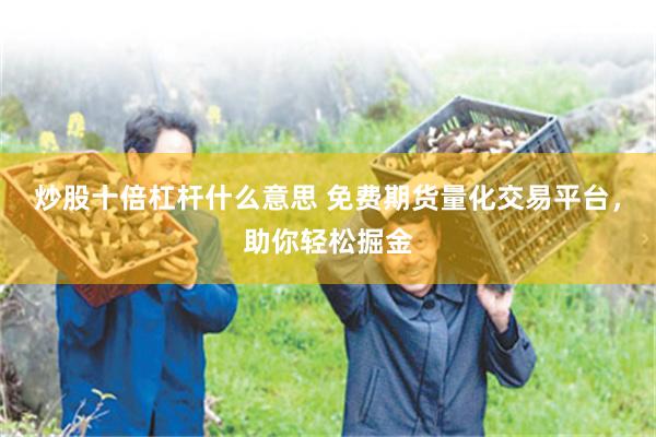 炒股十倍杠杆什么意思 免费期货量化交易平台，助你轻松掘金