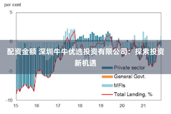 配资金额 深圳牛牛优选投资有限公司：探索投资新机遇