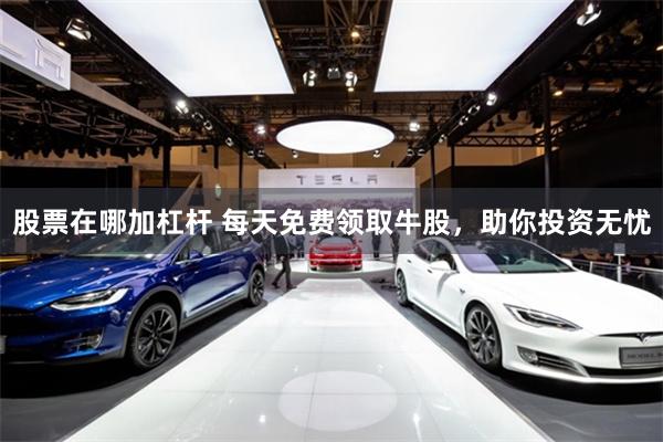 股票在哪加杠杆 每天免费领取牛股，助你投资无忧