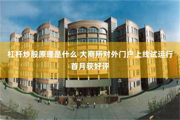 杠杆炒股原理是什么 大商所对外门户上线试运行首月获好评