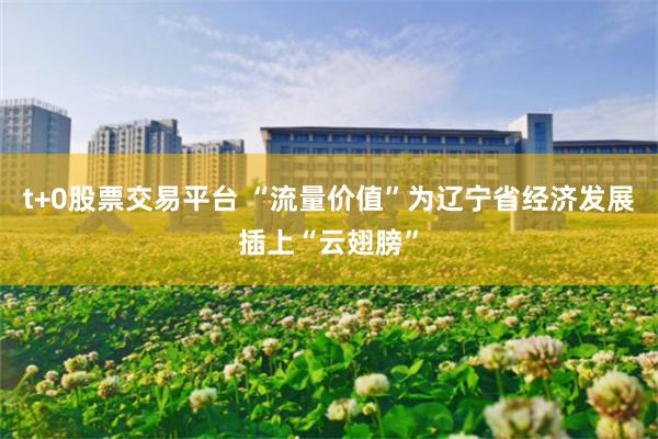 t+0股票交易平台 “流量价值”为辽宁省经济发展插上“云翅膀”