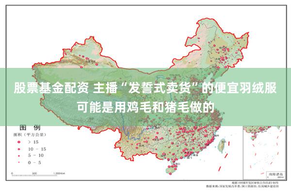 股票基金配资 主播“发誓式卖货”的便宜羽绒服可能是用鸡毛和猪毛做的