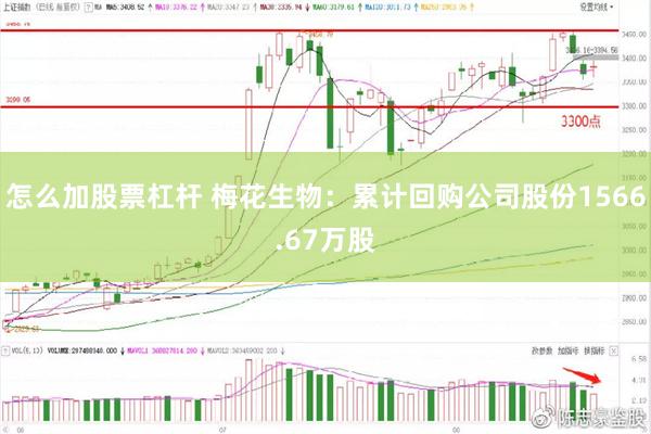 怎么加股票杠杆 梅花生物：累计回购公司股份1566.67万股