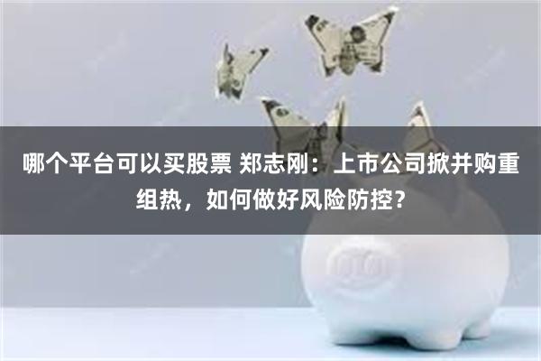 哪个平台可以买股票 郑志刚：上市公司掀并购重组热，如何做好风险防控？