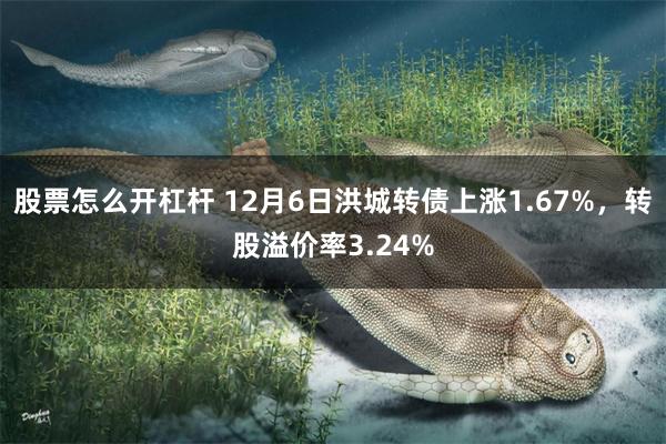股票怎么开杠杆 12月6日洪城转债上涨1.67%，转股溢价率3.24%