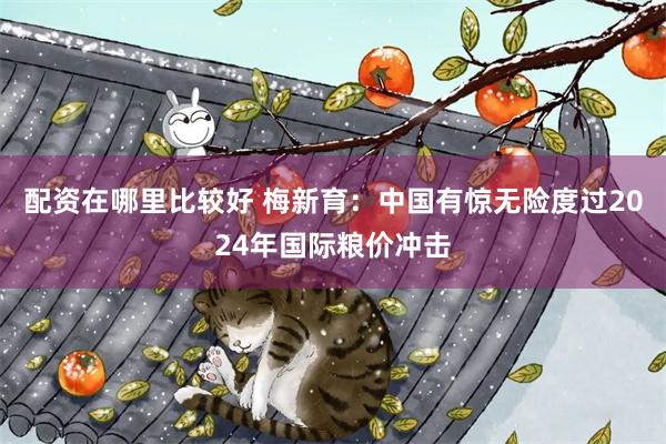 配资在哪里比较好 梅新育：中国有惊无险度过2024年国际粮价冲击