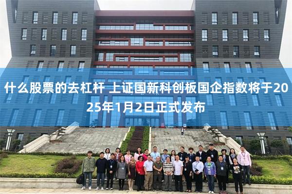 什么股票的去杠杆 上证国新科创板国企指数将于2025年1月2日正式发布