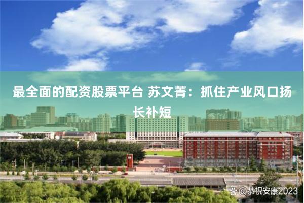 最全面的配资股票平台 苏文菁：抓住产业风口扬长补短