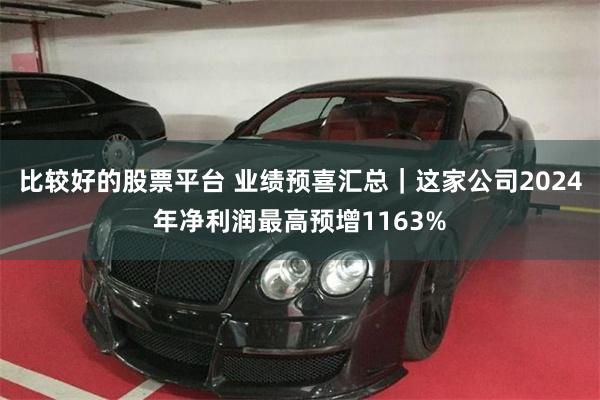 比较好的股票平台 业绩预喜汇总｜这家公司2024年净利润最高预增1163%