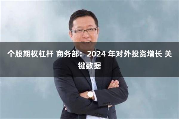 个股期权杠杆 商务部：2024 年对外投资增长 关键数据