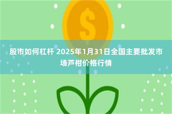 股市如何杠杆 2025年1月31日全国主要批发市场芦柑价格行情