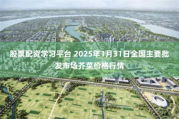 股票配资学习平台 2025年1月31日全国主要批发市场芥菜价格行情