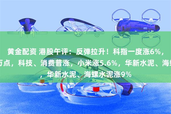 黄金配资 港股午评：反弹拉升！科指一度涨6%，恒指重回2万点，科技、消费普涨，小米涨5.6%，华新水泥、海螺水泥涨9%