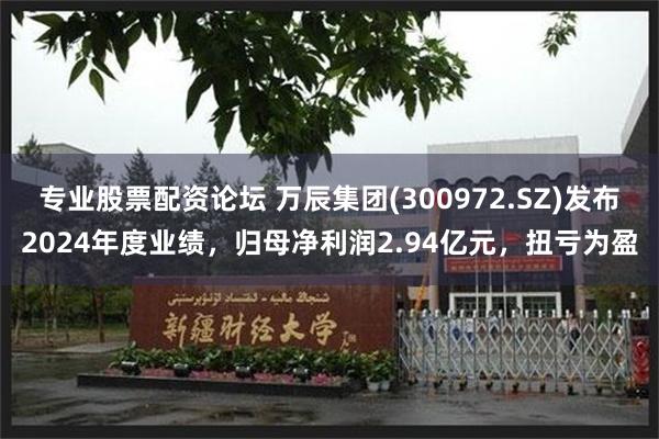 专业股票配资论坛 万辰集团(300972.SZ)发布2024年度业绩，归母净利润2.94亿元，扭亏为盈