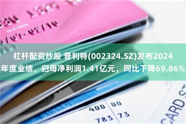 杠杆配资炒股 普利特(002324.SZ)发布2024年度业绩，归母净利润1.41亿元，同比下降69.86%