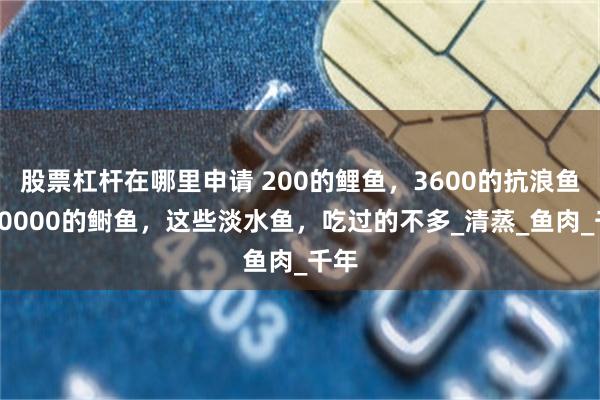 股票杠杆在哪里申请 200的鲤鱼，3600的抗浪鱼，10000的鲥鱼，这些淡水鱼，吃过的不多_清蒸_鱼肉_千年