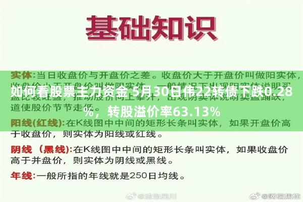 如何看股票主力资金 5月30日伟22转债下跌0.28%，转股溢价率63.13%