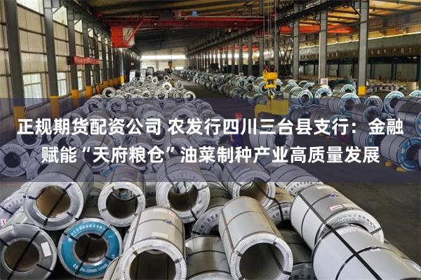 正规期货配资公司 农发行四川三台县支行：金融赋能“天府粮仓”油菜制种产业高质量发展
