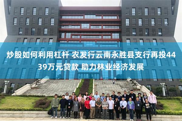 炒股如何利用杠杆 农发行云南永胜县支行再投4439万元贷款 助力林业经济发展