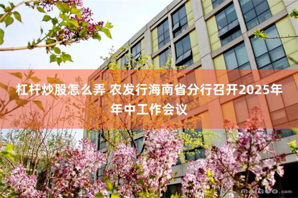 杠杆炒股怎么弄 农发行海南省分行召开2025年年中工作会议