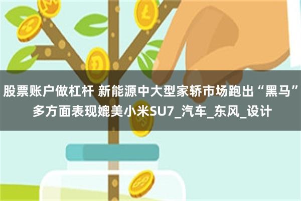 股票账户做杠杆 新能源中大型家轿市场跑出“黑马” 多方面表现媲美小米SU7_汽车_东风_设计