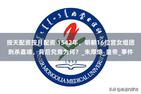按天配资按月配资 1542年，明朝16位宫女组团刺杀嘉靖，背后究竟为何？_朱厚熜_皇帝_事件