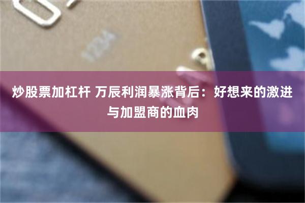 炒股票加杠杆 万辰利润暴涨背后：好想来的激进与加盟商的血肉