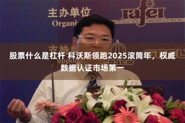 股票什么是杠杆 科沃斯领跑2025滚筒年，权威数据认证市场第一