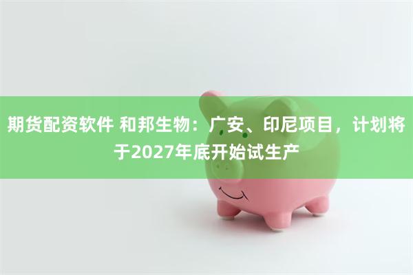 期货配资软件 和邦生物：广安、印尼项目，计划将于2027年底开始试生产