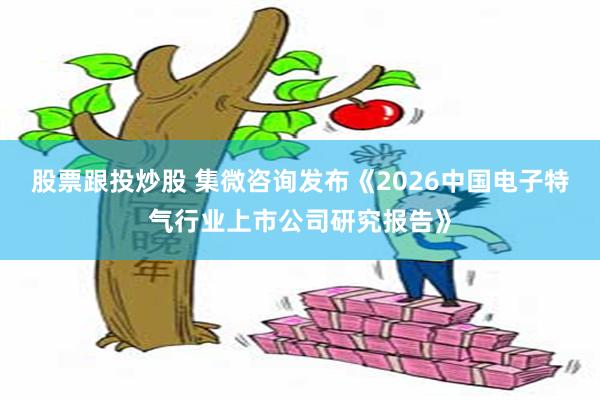 股票跟投炒股 集微咨询发布《2026中国电子特气行业上市公司研究报告》