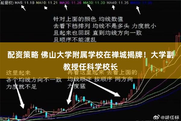 配资策略 佛山大学附属学校在禅城揭牌！大学副教授任科学校长