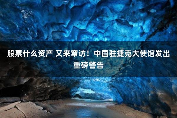 股票什么资产 又来窜访！中国驻捷克大使馆发出重磅警告