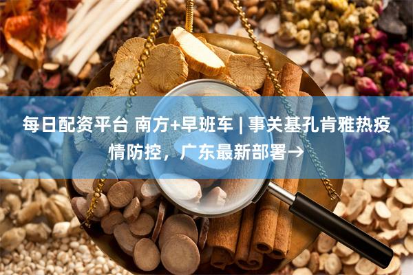 每日配资平台 南方+早班车 | 事关基孔肯雅热疫情防控，广东最新部署→
