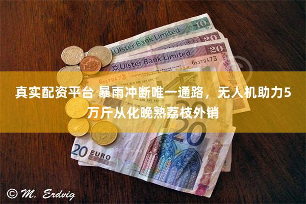 真实配资平台 暴雨冲断唯一通路，无人机助力5万斤从化晚熟荔枝外销