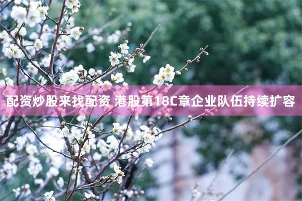 配资炒股来找配资 港股第18C章企业队伍持续扩容