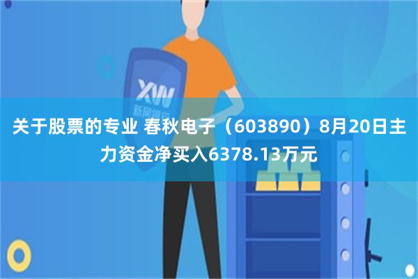 关于股票的专业 春秋电子（603890）8月20日主力资金净买入6378.13万元