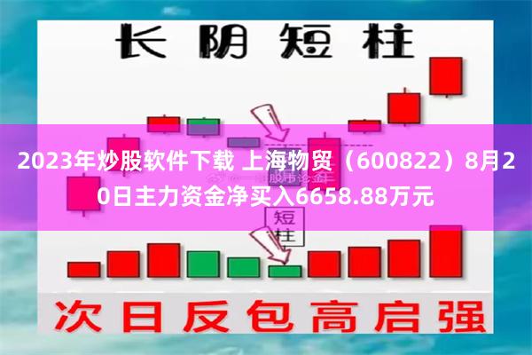 2023年炒股软件下载 上海物贸(600822)8月20日主力资金净买入6658.88万元