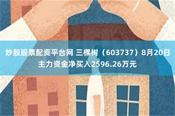 炒股股票配资平台网 三棵树(603737)8月20日主力资金净买入2596.26万元